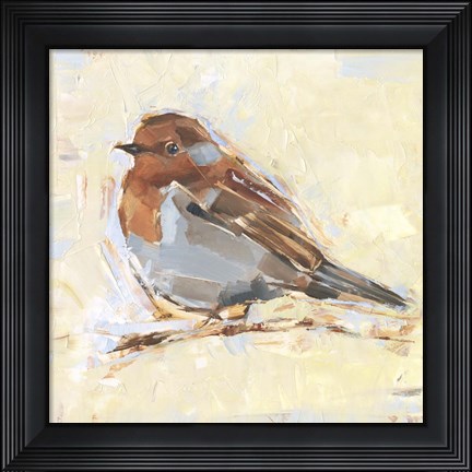 Framed Bird Variety I Print