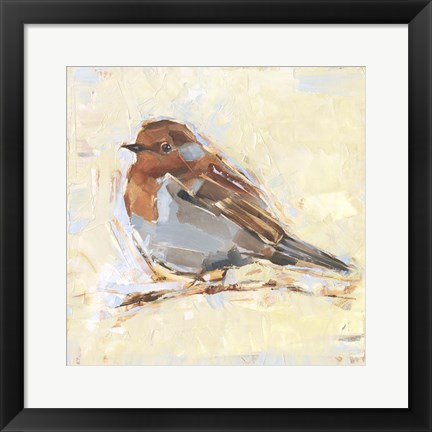 Framed Bird Variety I Print