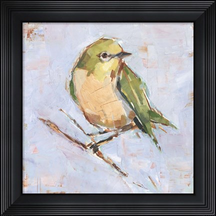 Framed Bird Variety II Print