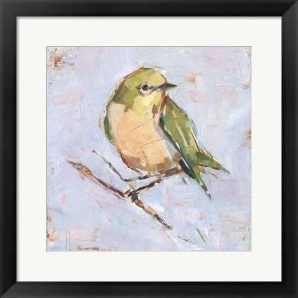 Framed Bird Variety II Print