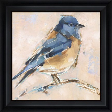 Framed Bird Variety III Print