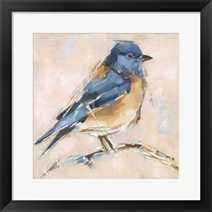 Framed Bird Variety III Print