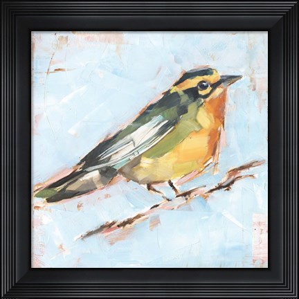 Framed Bird Variety IV Print