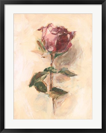 Framed Painterly Rose Study I Print