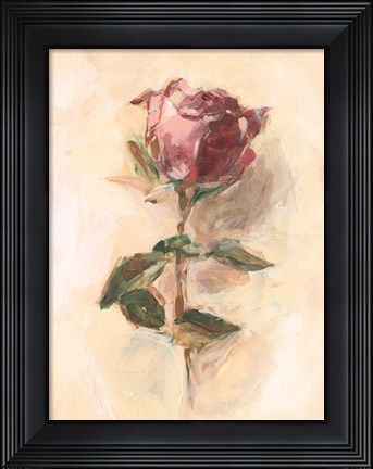 Framed Painterly Rose Study I Print