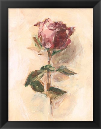 Framed Painterly Rose Study I Print