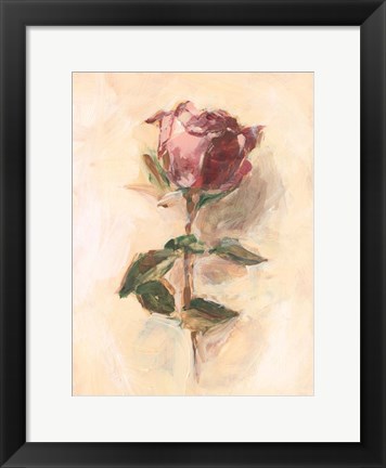 Framed Painterly Rose Study I Print