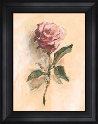 Framed Painterly Rose Study II Print