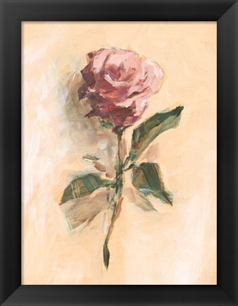 Framed Painterly Rose Study II Print