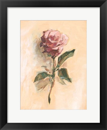 Framed Painterly Rose Study II Print