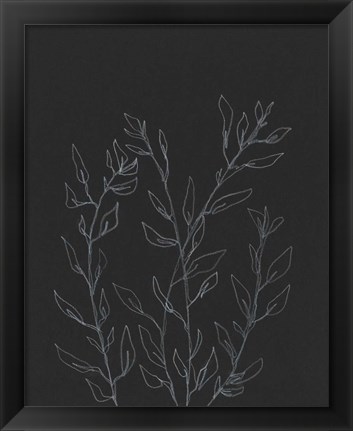 Framed Simple Stalk I Print