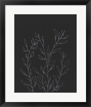 Framed Simple Stalk I Print