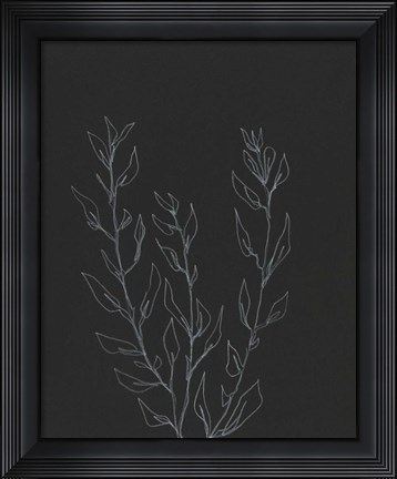 Framed Simple Stalk II Print