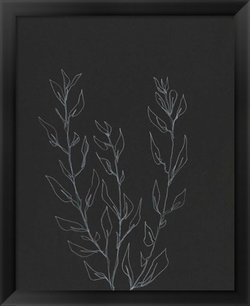 Framed Simple Stalk II Print