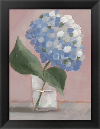 Framed Single Hydrangea II Print