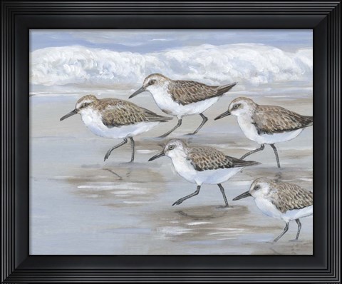 Framed Sandpipers I Print