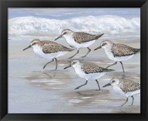 Framed Sandpipers I Print