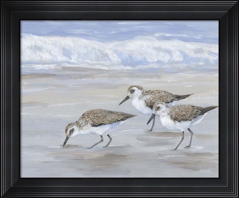 Framed Sandpipers II Print