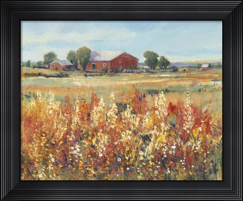 Framed Country View II Print