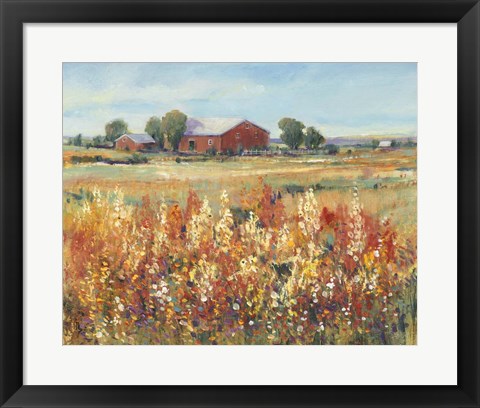 Framed Country View II Print