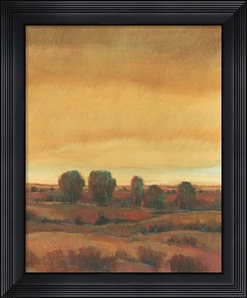 Framed Golden Time II Print