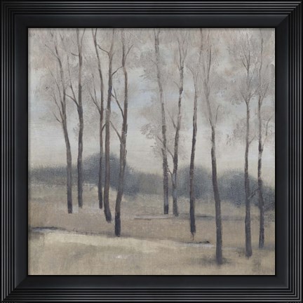 Framed Soft Light II Print