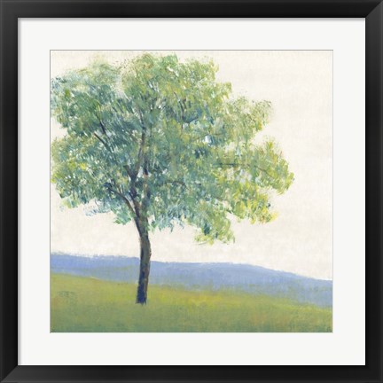 Framed Solitary Tree I Print