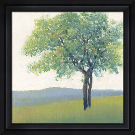 Framed Solitary Tree II Print