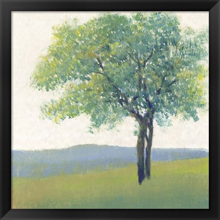 Framed Solitary Tree II Print