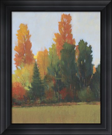 Framed Fall Colors I Print