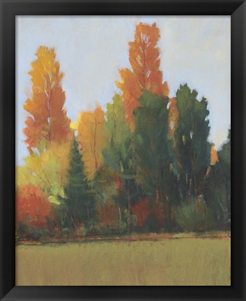 Framed Fall Colors I Print