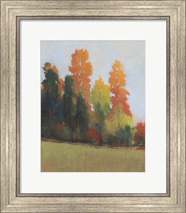Framed Fall Colors II Print