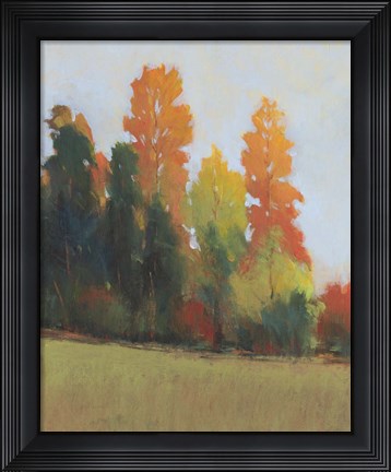 Framed Fall Colors II Print