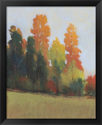 Framed Fall Colors II Print