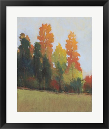 Framed Fall Colors II Print