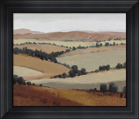 Framed Soaring View I Print