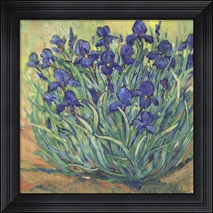 Framed Irises in Bloom I Print