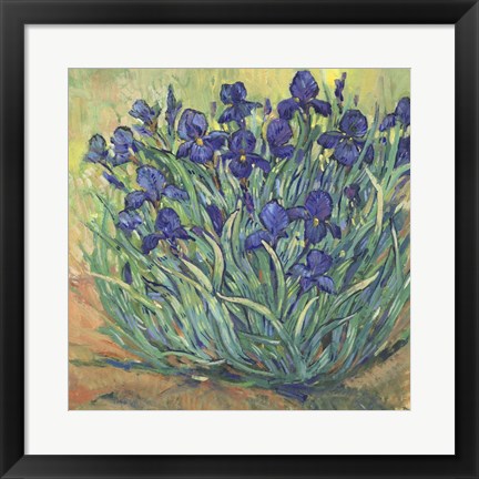 Framed Irises in Bloom I Print