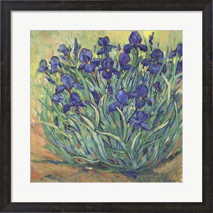 Framed Irises in Bloom I Print