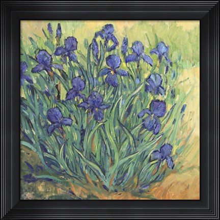 Framed Irises in Bloom II Print