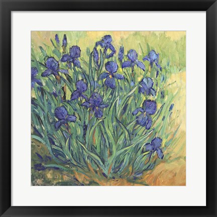 Framed Irises in Bloom II Print
