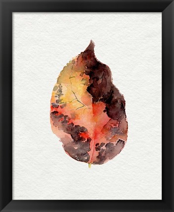 Framed Watercolor Autumn Leaf I Print