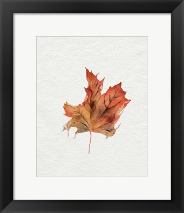Framed Watercolor Autumn Leaf II Print