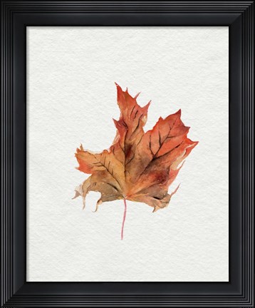 Framed Watercolor Autumn Leaf II Print