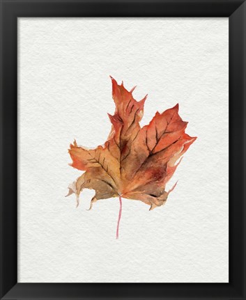 Framed Watercolor Autumn Leaf II Print