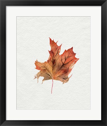 Framed Watercolor Autumn Leaf II Print