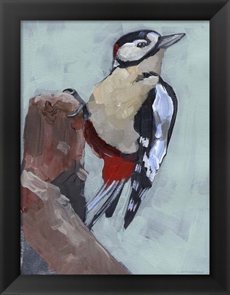 Framed Woodpecker Paintstrokes II Print