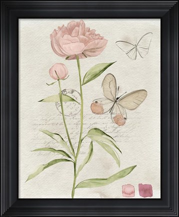 Framed Field Notes Florals II Print