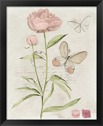 Framed Field Notes Florals II Print