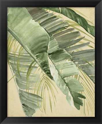 Framed Banana Palms I Print